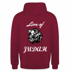 Hoodie Lion of Judah